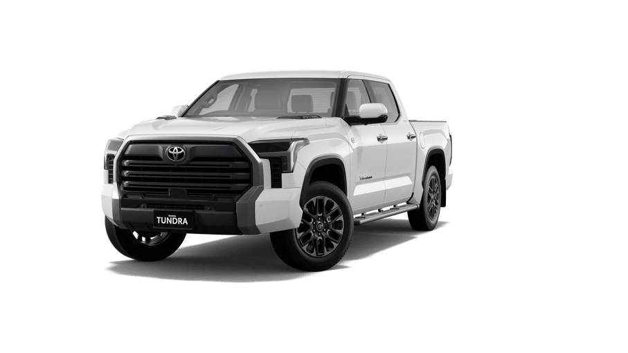 Tundra イタリア語 イタリア語 Revised Tundra dual land BGS9.5鑑定品